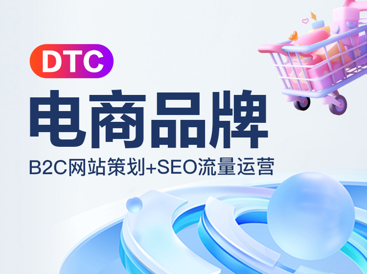 课程六 《B2C电商品牌独立站营销引流策略+数据分析》
