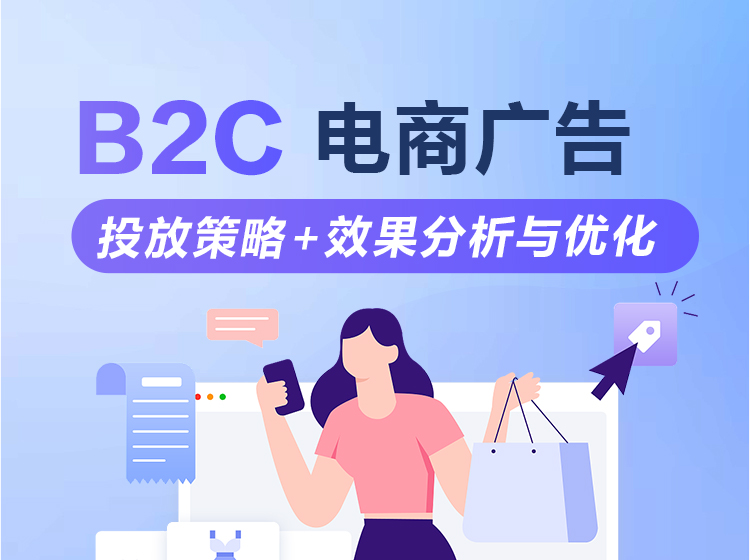 B2C电商广告投放策略, Shopify平台优化, 效果分析与提升转化